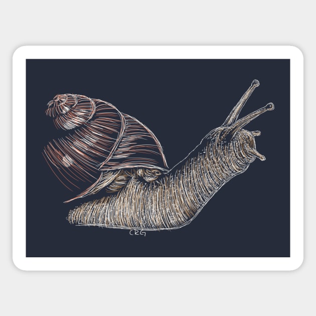 Snail Sticker by Walking in Nature